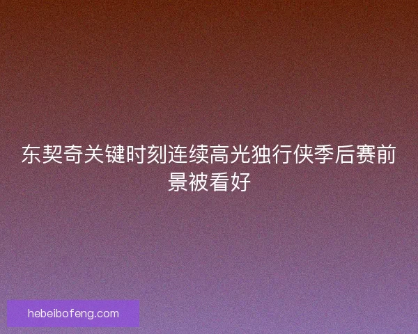 东契奇关键时刻连续高光独行侠季后赛前景被看好