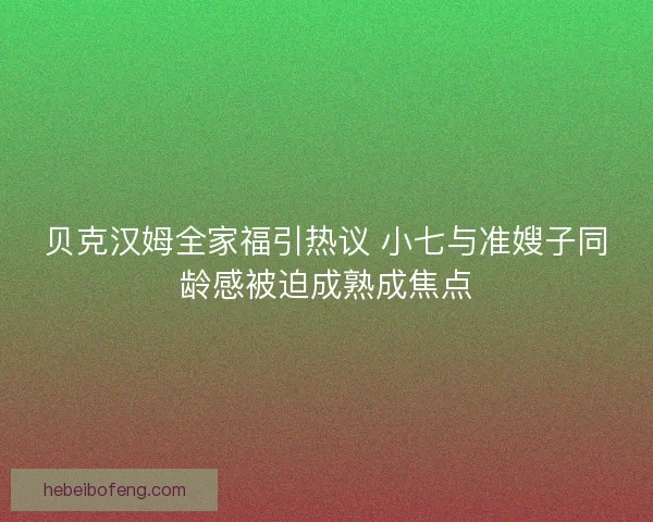 贝克汉姆全家福引热议 小七与准嫂子同龄感被迫成熟成焦点