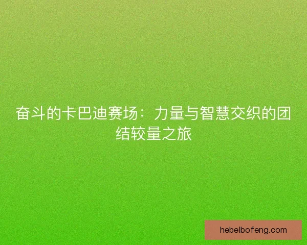 奋斗的卡巴迪赛场：力量与智慧交织的团结较量之旅