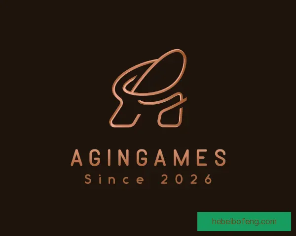 介绍Agin games